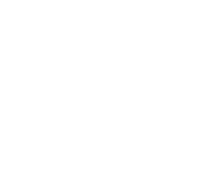N3PL